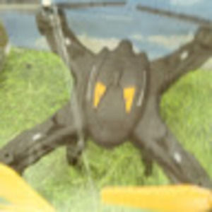 Meet your Posher, Damontrey